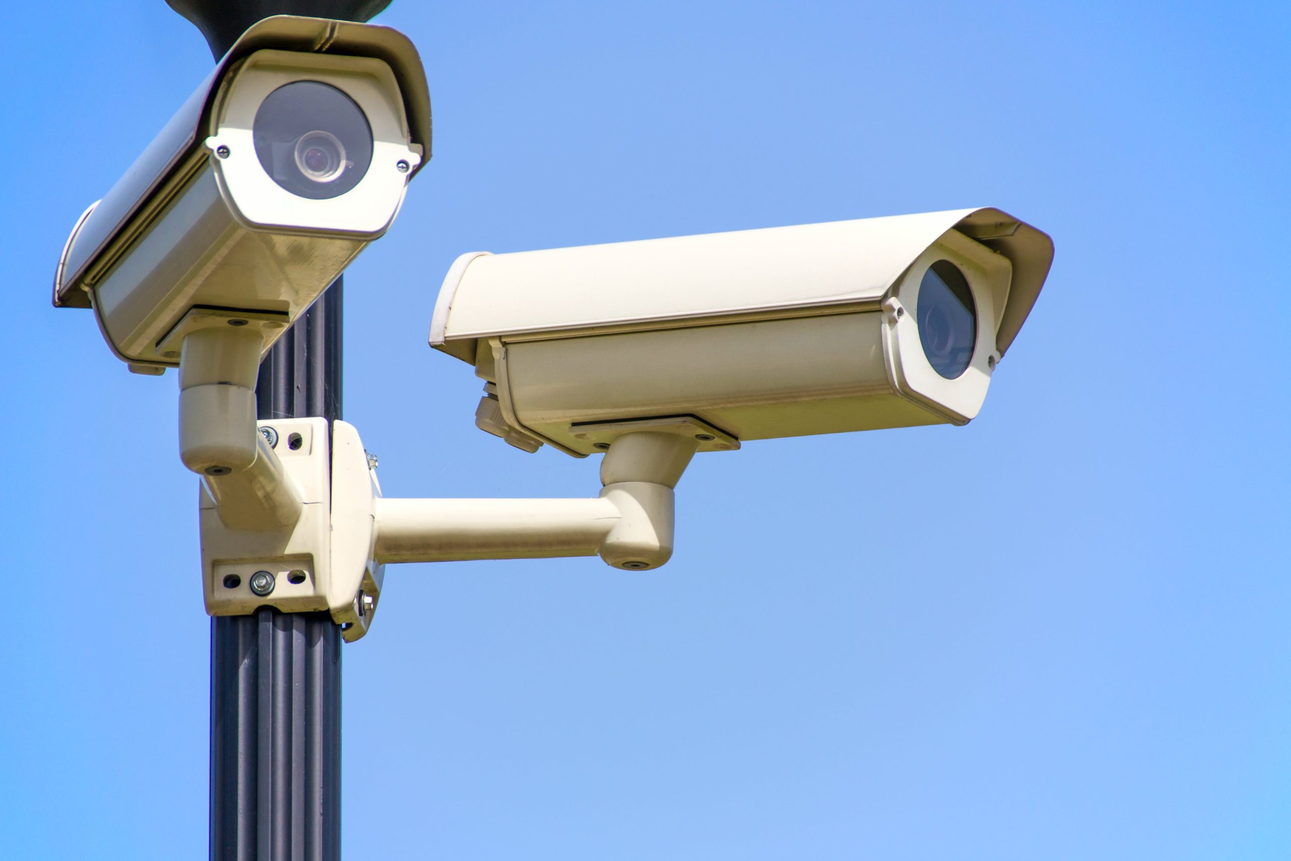 Website security 101: Protecting your online assets and building Trust